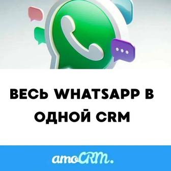 Интеграция WhatsApp в amoCRM ни одной потерянной заявки