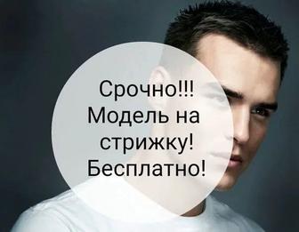 Модель на стрижку