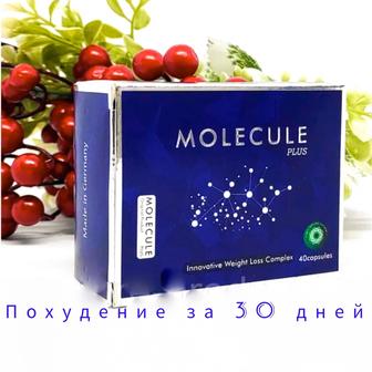 Molecule Germany plus