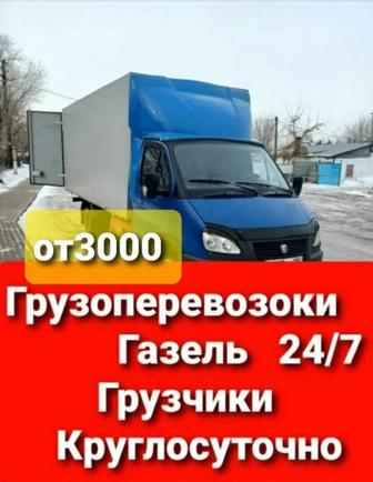 Газель