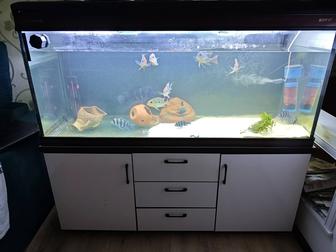 Аквариум 500 литров