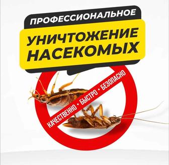 Дезинфекция помещений