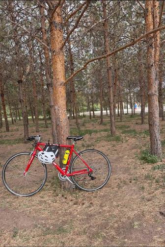 Шоссейный велосипед Merida