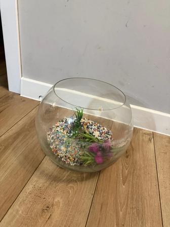 Аквариум с наполнением