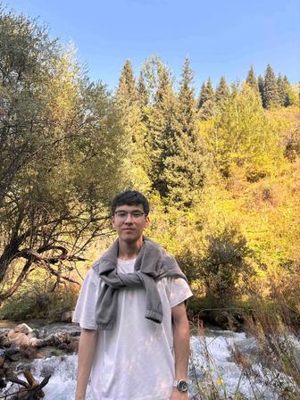 Онлайн Репетитор по Python, ЕНТ по Информатике