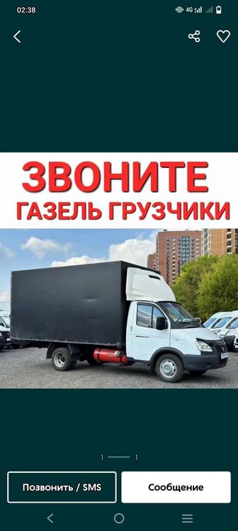 Газель