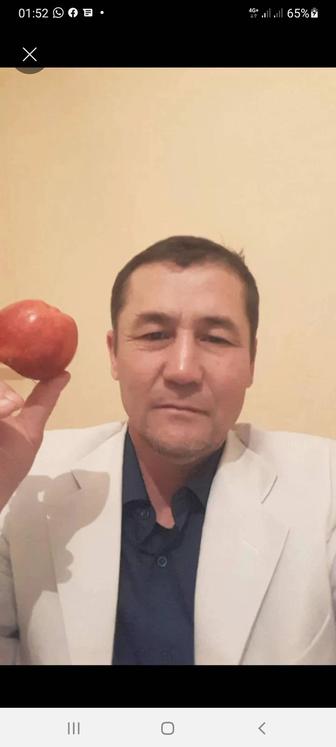 Мастер на час професионал