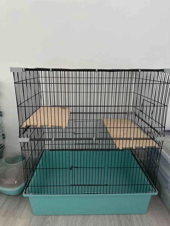 клетка большая астана