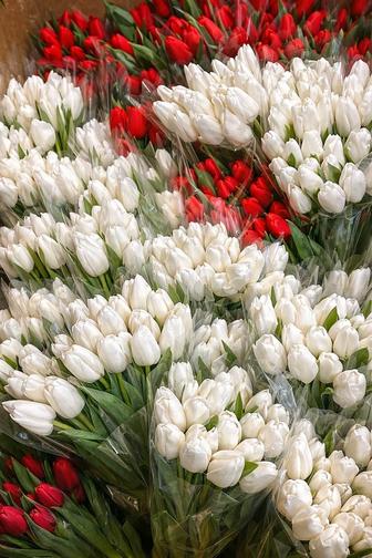 Тюльпаны/клубника в шоколаде