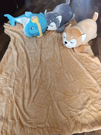 Игрушки с пледом