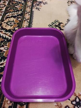 Продам б/у туалетный лоток для котят в хорошем состоянии