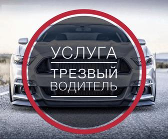 Трезвый водитель