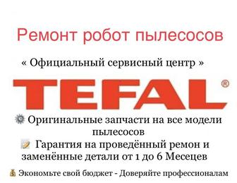 Ремонт Робот пылесосов Tefal