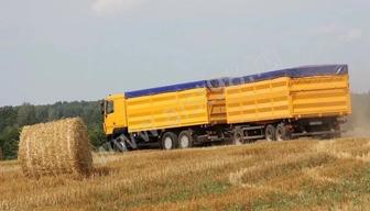 услуги зерновозов