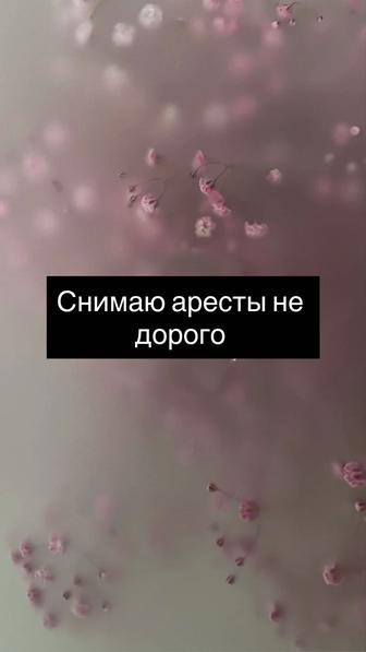 Снятие всех видов арестов