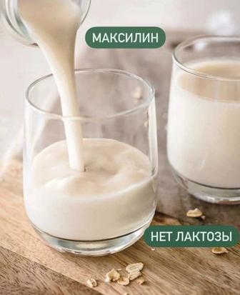 Пробиотик максилин