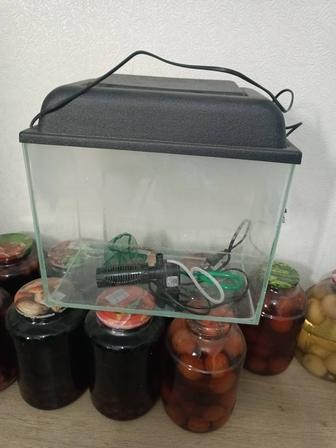 Аквариум продам