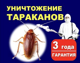 Дезинфекция Дезинсекция Дератизация