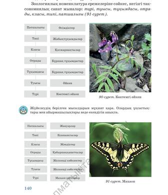 Ниш дайындық 6 сынып