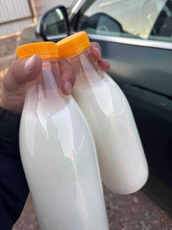 Козье молоко от породистых коз