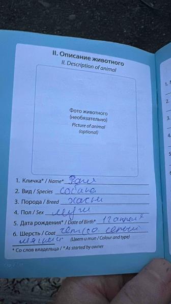 Отдам щенка Хаски 3 месяца