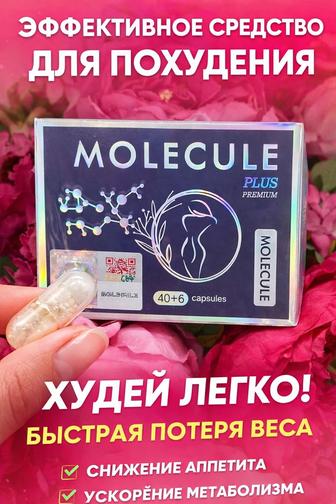 Molekula plus похудение