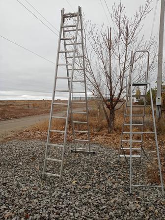 Сдам в аренду лестница стремянка