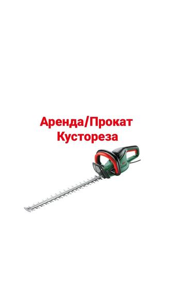 Прокат аренда кусторез триммер газонокосилка
