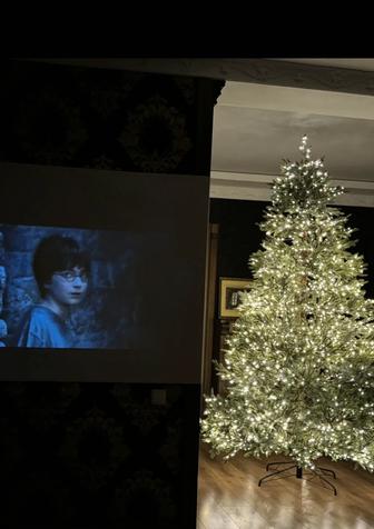 Продам лесную ель