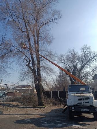 Услуги автовышки