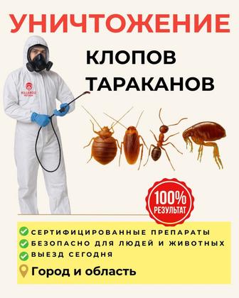 уничтожение клопов, тараканов, дезинфекция, дезинсекция