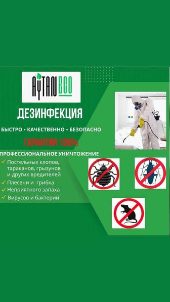 Дезинфекция от клопов, тараканов и грызунов