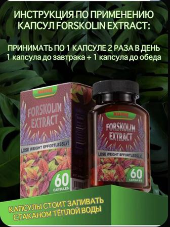 Форсколин для похудения