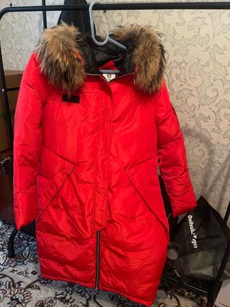 Парка зимняя