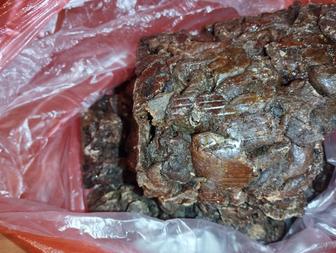 Прополис пчелинный лесной