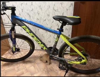 Горный велосипед PHOENIX KOOL 10 отличный вариант для города