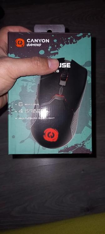 Мышка новая