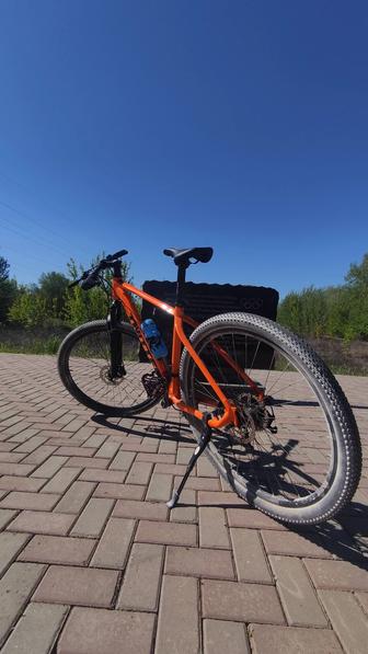 Продам twitter rider 29