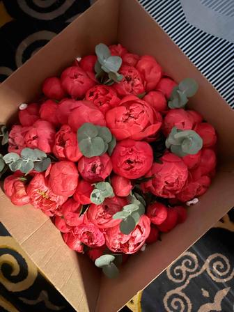 Цветы пионы срочно