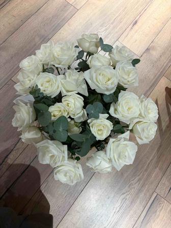 Продам цветы белые и красные розы в кашпо