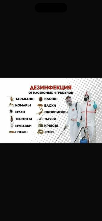 Дезинфекция от клопов, тараканов, блох. Гарантия!
Договор! Результат 100%