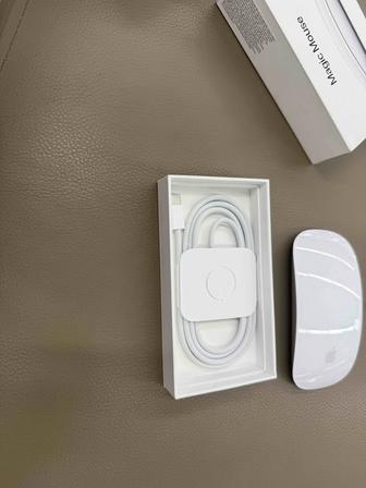 Новая Magic Mouse