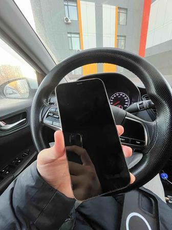 12 про max 256 гб