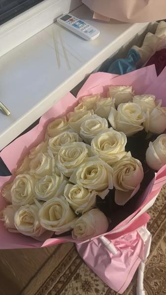 Голландские розы 25 шт