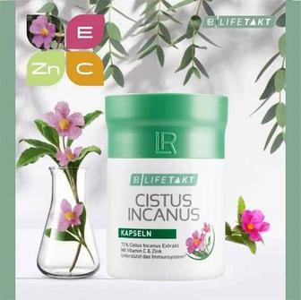 LR Cistus Incanus Цистус Инканус поддержка иммунитета Германия