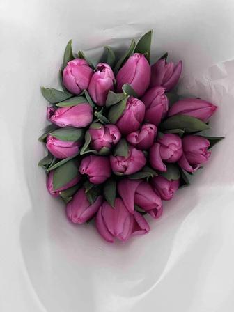 Тюльпаны с теплицы есть оптом и в розницу есть разные сорта по оптовой цене