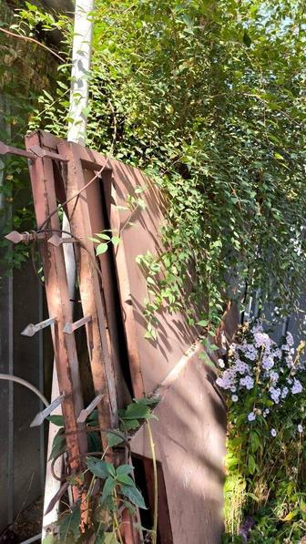 Ворота железные, распашные с калиткой