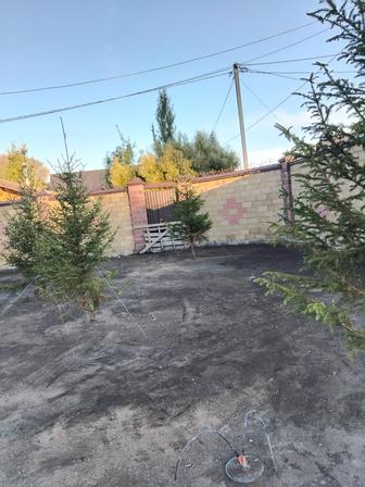 Предоставляем услуги разнорабочих