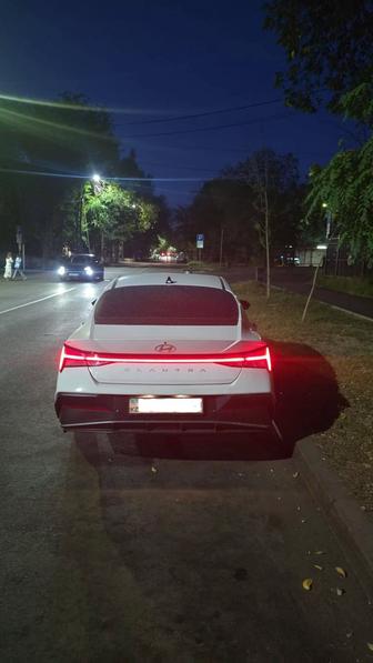 Hyundai Elantra с водителем