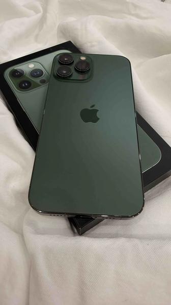 iPhone 13 Pro Max 256 GB